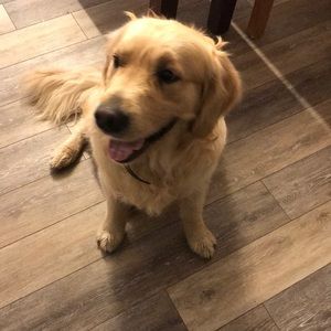 Meet your Posher, Logan